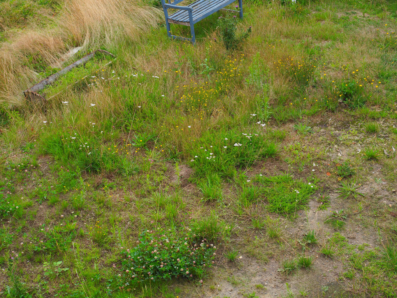Image description here